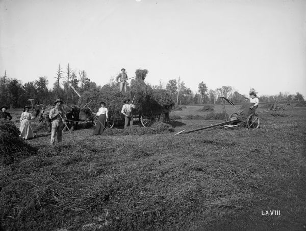 The Fred Judas family poses with their second crop of red clover, three miles south of Medford. With their rakes and mower, they are converting the red clover into a hay crop. A forest is in the background.