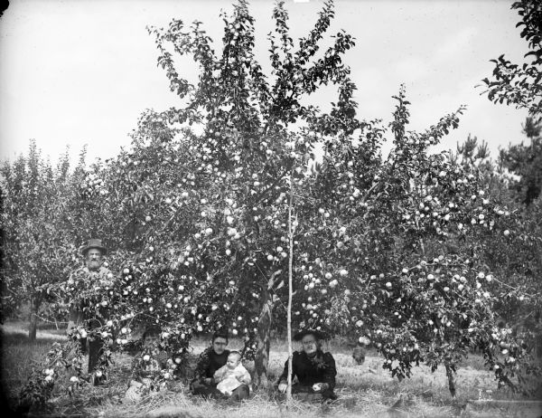 The family of Joseph Zettel sits under a flowering apple tree. The family grows the Duchess of Oldenburg apple variety in their orchard three miles north of Sturgeon Bay.