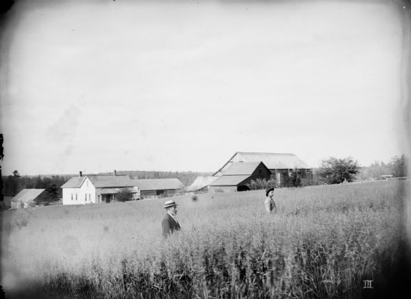 Two men stand in a vast field of oats on the farm of Fred Ashbrenner in Siegler. A frame farmhouse, farm buildings, and trees are in the background.