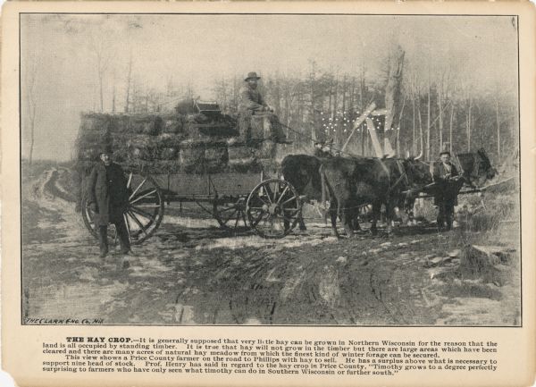 A promotional card advertising the large amounts of hay that can be growth in northern Wisconsin. The image shows three men posing on and beside a wagon carrying bundles of hay. Behind them there appears to be a man with a woman and child sitting in a horse-drawn carriage.<p>The caption reads: "THE HAY CROP. - It is generally supposed that very little hay can be growth in Northern Wisconsin for the reason that the land is all occupied by standing timber. It is true that hay will not grow the timber but there are large ares which have been cleared and there are many acres of natural hay meadows from which the finest kind of winter forage can be secured. This view shows a Price County farmer on the road to Phillips with hay to sell. He has a surplus above what is necessary to support nine heads of stock. Prof. Henry has said in regard to the hay crop in Price County, "Timothy grows to a degree perfectly surprising to farmers who have only seen what timothy can do in Southern Wisconsin or further south."</p>