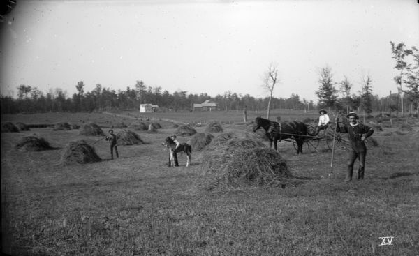 Haying crew posing in a field among the haystacks. One man in the middle is holding a very young foal, and another man sits on a horse-drawn hay rake. A farmhouse and farm buildings are in the far background.