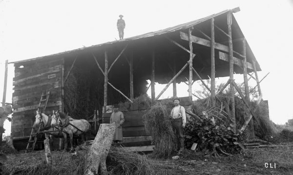 Three men posing with an open-air hay barn. Two men stand in front of the barn near two horses, while one man stands on the roof of the barn.