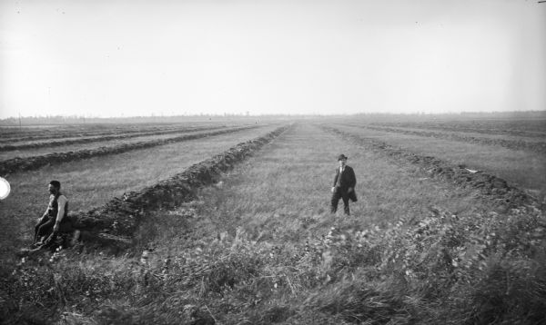Two men in a field with long dikes.