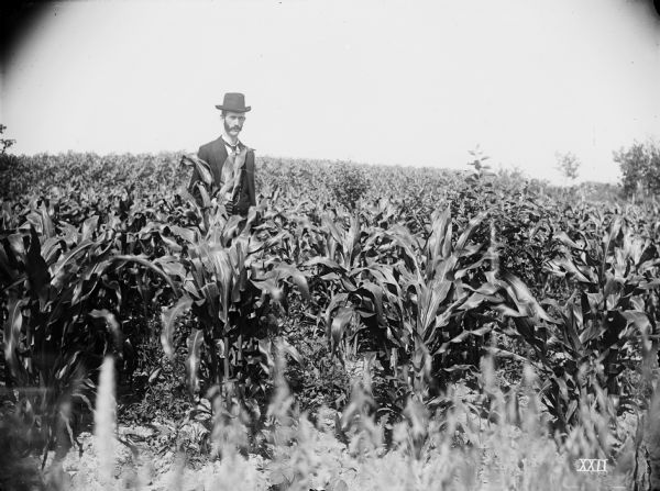 A man, wearing a suit and a hat, standing in a cornfield.
