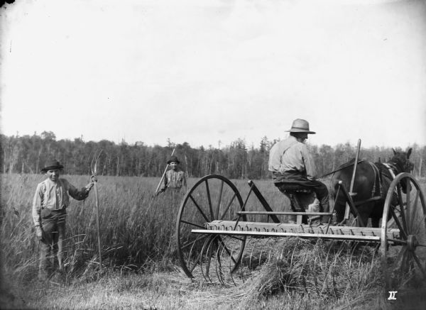 Three men haying in a field. Two men with hand rakes pose, while the third man, sitting on a horse-drawn rake, faces away from the camera.