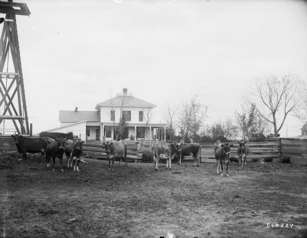 A small herd of Jersey cows, and swine on the farm of J.B. Bartlett. A house with a porch is in the background.
