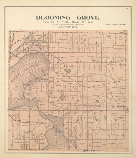 Plat map of Blooming Grove Township in Dane County.