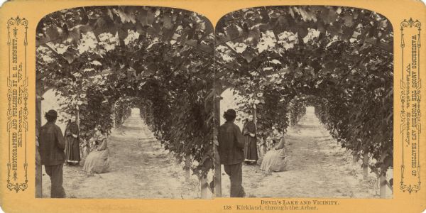 A man and two women under a vine-covered arbor. Text at right: "Wanderings Among the Wonders and Beauties of Wisconsin Scenery."