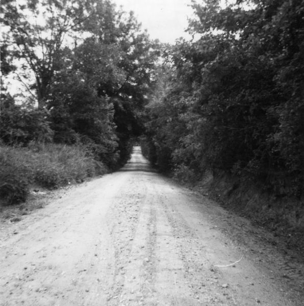 A rural road canvassed and photographed by a civil rights volunteer.<p>"'A country mile' - one road to canvass in Summit, Miss. Actually the shaded part of this road will be a welcomed, if temporary, relief from the high humidity and 90+ degree heat that we faced almost every day of our stay in McComb-Summit."<p>"Canvassing...canvassing is walking, walking a country mile, sweating, listening, talking, listening, walking. Its purpose is to tell the good news of easier voter registration, of a freedom meeting, of a petition against J.P. Coleman, of the Freedom Democratic Party - a party for ALL the people of Mississippi. The aims are to discover what the people want, & what they are prepared to do."