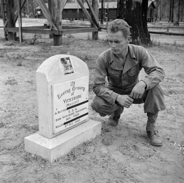 Private Bill Gantenbein of LaCrosse, Wisconsin, inspects the marker for Vicksburg, their beloved mongrel mascot. Pvt. Gantenbein passed his helmet on payday and collected enough money to buy the marker. The dog was accidentally killed by a falling tree, and buried in a military service "somewhere in Australia." Sergeant Leo Outcelt of LaCrosse, Wisconsin, had found the pup outside a restaurant at Vicksburg, Mississippi, and named him after the city. When he was deployed overseas, he took Vicksburg with him. On cold nights the dog wore a jacket with sergeant's chevrons and his regimental insignia.