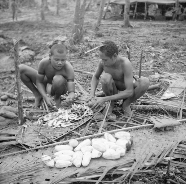 Two indigenous boys peel yams on Kiriwina Island, in the Solomon Sea, New Guinea (present day Papua New Guinea).