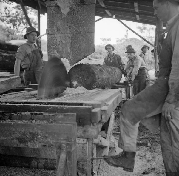 The sawmill for the engineers at the military camp on Kiriwina Island in the Solomon Sea, New Guinea (present day Papua New Guinea). The soldiers are just about to make a cut on a large log.