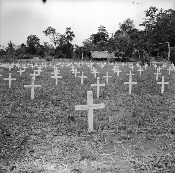 Crosses in the cemetery at Buna. Buildings and tents are in the background among trees. The American Forces lost 798 soldiers, and the Australians lost 2,700, in the Buna-Gona Campaign. It was reported that diseases killed more men than combat in New Guinea. Buna was located on the east coast of New Guinea (present day Papua New Guinea).