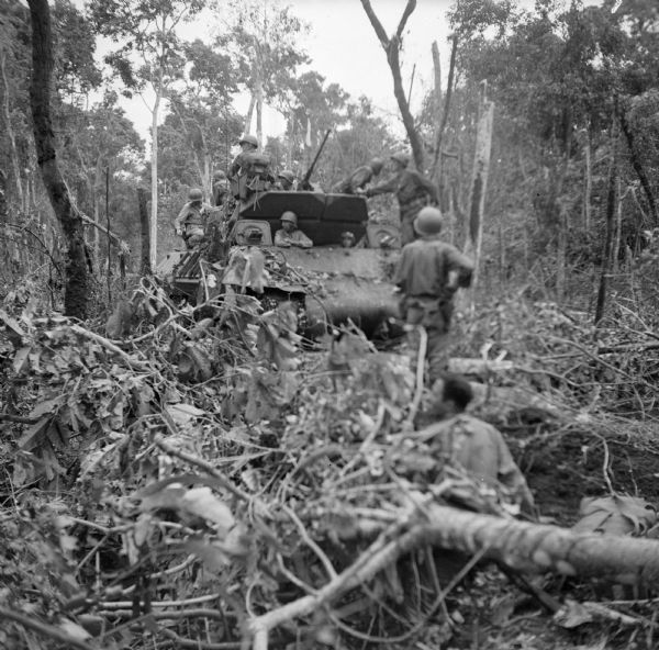 Soldiers on a tank destroyer in the jungle at Saidor, New Guinea (present day Papua New Guinea). A soldier in the foreground appears to be moving some branches.