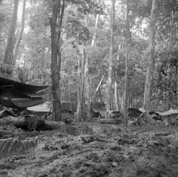 Hammocks with rain tarps in the tree-shaded Headquarters area of the military camp at Saidor, New Guinea (present day Papua New Guinea). Tents and jeeps are parked in mud. Robert Doyle wrote a caption for this image although it was not published at that time: "Not much like training camps at home is this task force headquarters area at Saidor occupied by 32nd Division soldiers who seized beachhead Jan. 2. Hammocks keep men dry and out of mud. Falling trees are dangerous."