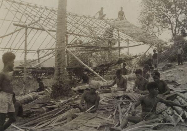 Without nails, wire or rope, indigenous men build a large structure for an American hospital unit headed by Major Stanley Hollenbeck of Milwaukee, Wisconsin. They use vines and crotches to bind the building together. In the foreground men use fiber to sew palm leaves which will overlap and form a perfectly waterproof roof. Walls are made from split sago palm stems. A soldier is standing in the background on the right. Text in the <i>Milwaukee Journal</i> describing this group of images reads: "War Correspondent's Album. These pictures, made in New Guinea last November, December and January by Robert J. Doyle, <i>Milwaukee Journal</i> war correspondent, have just been received, approved for publication by the photo news board of the bureau of public relations of the war department."