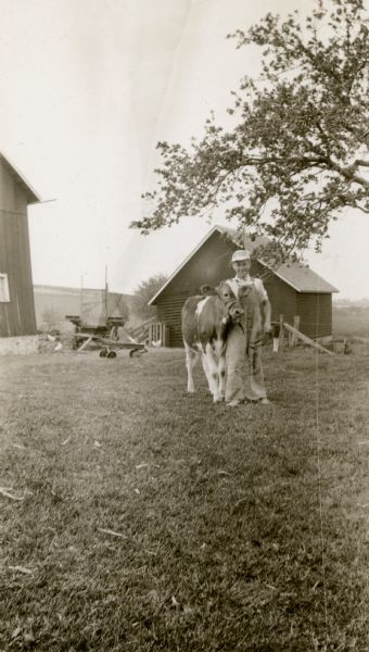 Harold Calder, wearing bib overalls and a cap, poses with his calf, which won second place at the Cambridge Festival in 1931. There are chickens, a small coaster wagon and a farm wagon in the background, near a granary and large barn.