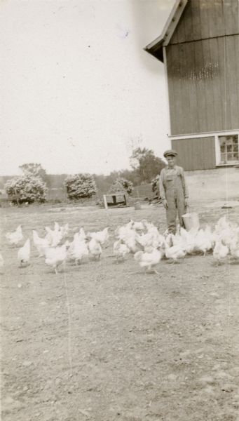 Harvey Lein, 13, poses with a flock of chickens near a barn.  He is wearing a cap and bib overalls and is carrying a bucket.  There are bushes blooming in the background.  It is noted on the reverse of the photograph that he "received second place on his white leghorns at the Cambridge Festival."