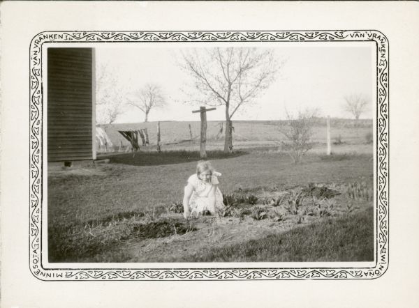 Lilia Suckow, a student at Peck School, works in a tulip bed outside her house. Clothes dry on a line behind the house.
