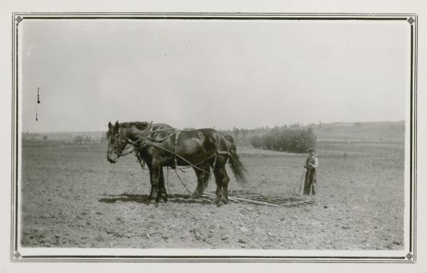Norman Peterson, age 11, holds the reins of a team of horses hitched to a harrow. He is a student at the Mud Branch School, District No. 2. On the reverse of the photograph is written "Norman helps his father Martin Peterson in all farm operations. He is a very happy farm boy."