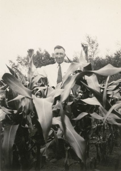 An unidentified man wearing a shirt and necktie poses with corn "shoulder high July 4, 1933."