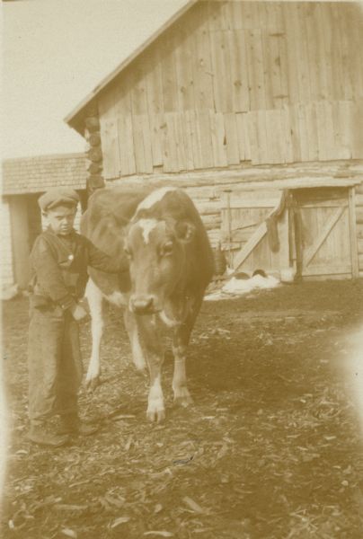 Tom Simoc, 14, poses with a Guernsey cow near a log barn. On the reverse of the photograph is written, "Won prizes at Co. Fair, 1930." Tom was the son of Nick Simoc.