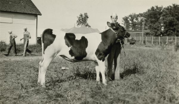 William Wehring, a student at the Sharon School, poses with his Holstein calf. There is a large canvas tent in the background and a railroad car is behind a fence on the right. Two unidentified boys are on the right, walking near a wood frame building. On the reverse of the photograph is written "1st Prize 4-H Club Holstein calf."