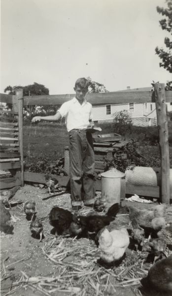 Frank Smith, Jr., age 12, feeds chickens on his father's farm. The farmhouse is in the background. Young Smith was a student at the Hillcrest School, District No. 6, Towns of Waukesha, Pewaukee, Brookfield and New Berlin.