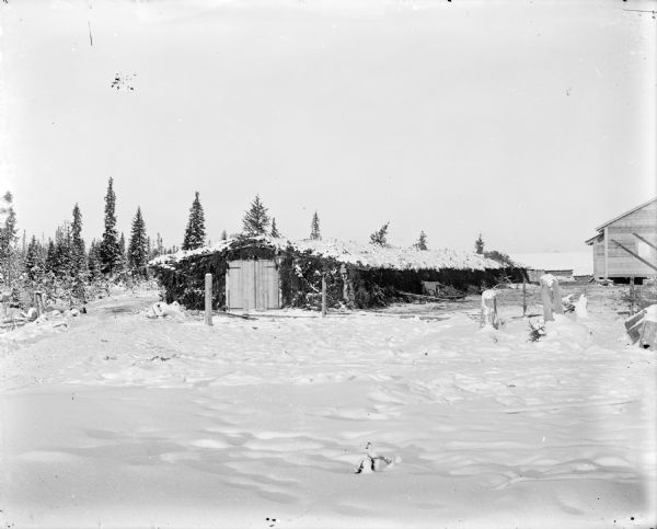 View across snow of a stable constructed out of logs, and covered with branches, near Arkhangelsk, Russia. There is a wood building on the far right, and there are trees in the background.