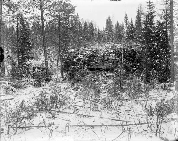 View through trees and branches of a log blockhouse fortification used by the Allied forces. The fortification is in a heavily forested area and camouflaged with branches and fallen trees.