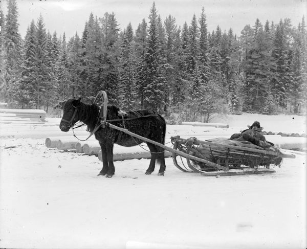 Lieutenant Colonel P.S. Morris, Commanding Officer, U.S. Army Corps of Engineers, in heavy fur clothing, laying in a sled with a horse harnessed and ready to pull the sled. Cut and stripped timbers lie on the ground behind them. Trees are in the background.