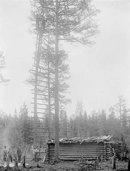 Four men stand outdoors near a log building at the base of a large ladder leading up to an observation tower. The ladder is constructed between the trunks of two trees, using cut tree limbs as rungs. Another smaller ladder leads up to the small platform, where two soldiers are standing.