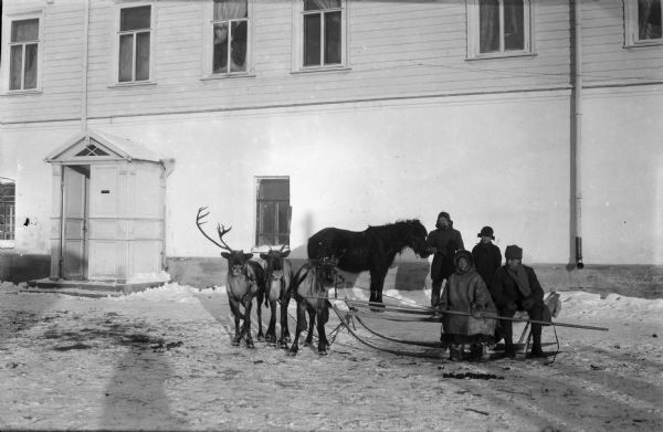 Group portrait of a reindeer team and sled that was kept by Company M of the 339th United States Infantry Regiment. Two soldiers and a horse pose with the young boys in the snow. The group is posing outdoors in front of a large building.