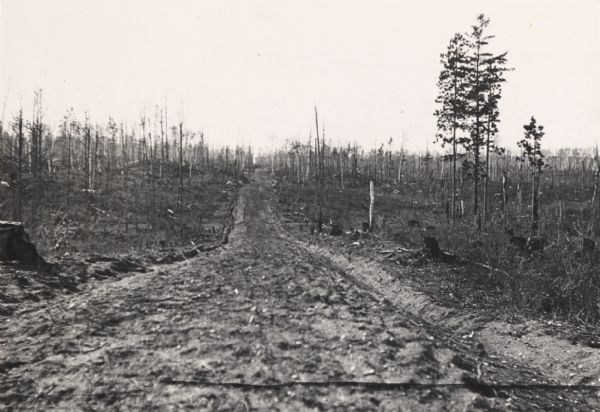View down dirt road through cut-over and burned-over terrain.
