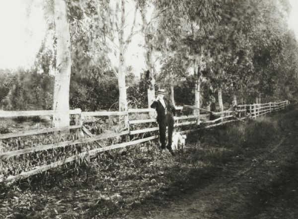 View from unpaved road of an unidentified man leaning on a country fence. There appear to be two dogs at his feet.