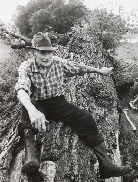 Louis Pierron, age 89, sitting on the trunk of a large elm tree which had recently been cut down at Green Bay Avenue and West Good Hope Road.