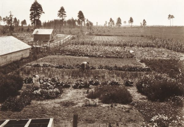 Elevated view of two women working in a large vegetable garden. A long building, perhaps a barn, and a smaller building are on the left. In the background are fields and trees.