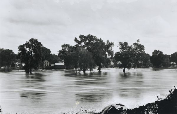 View across water of trees and wooden buildings submerged in water, probably during the 1911 (or 1905) flood of the Black River.	