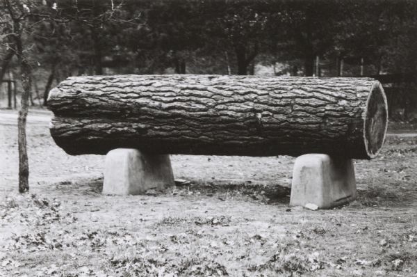 Cut sample pine log mounted as an exhibit in Irvine Park.