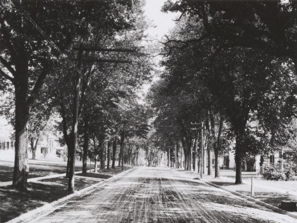 View down middle of a tree-lined residential street. Power lines run along the curb on both sides of the street. There are wide terraces, sidewalks, and lawns in front of the houses.