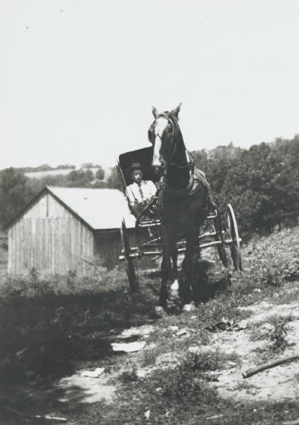 Horse, buggy and driver on a sloping hillside beside a barn, probably between Lancaster and Fennimore.