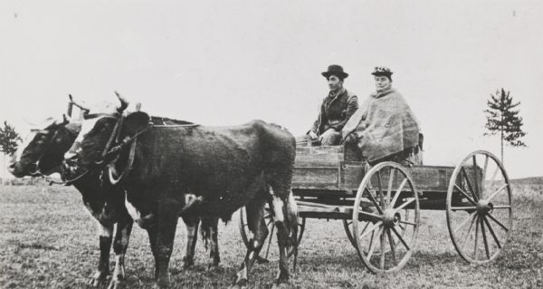 Man and woman seated in a farm wagon drawn by oxen.