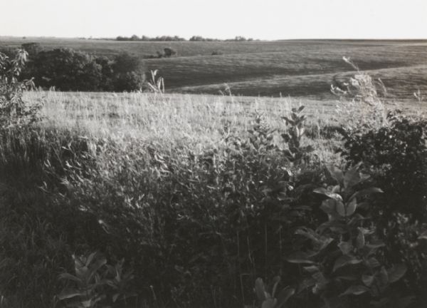 Fields in rolling country.