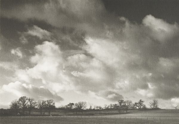 Large field and trees, with spectacular driven clouds.