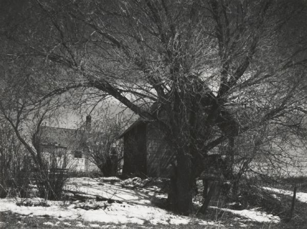 View through the trees of an abandoned farm.