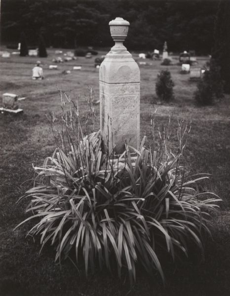 The Hansen monument in a Washington Island cemetery. The monument is surrounded by a cluster of Tiger Lillies which are no longer blooming.