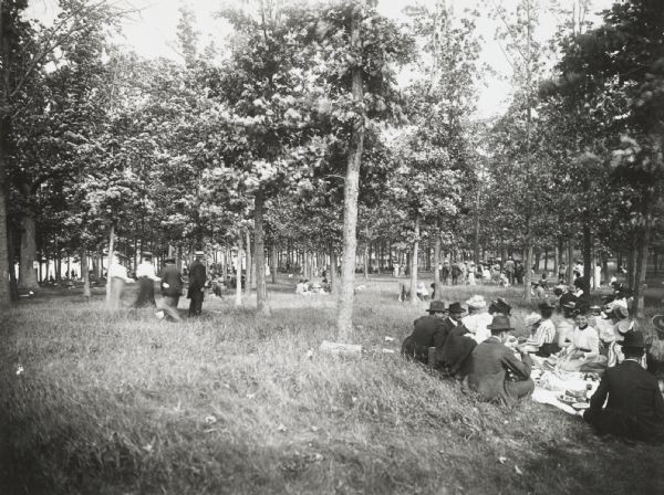 Scattered groups in a wooded park-like setting, sitting in tall grass and lunching at an agricultural organization picnic.
