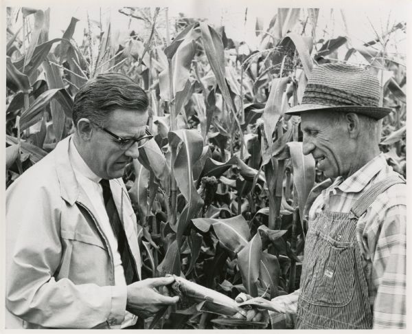 Wisconsin Democratic Party Chairman Louis Hanson and farmer-State Legislator Laurence Day chat while inspecting an ear of corn in a cornfield.