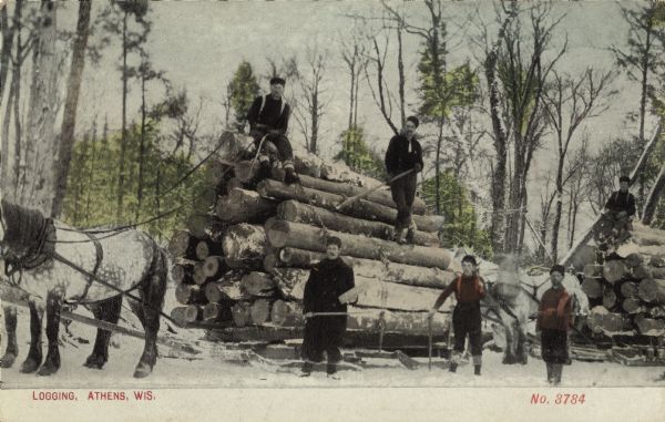 Colorized postcard of loggers posing with logs piled on horse-drawn sleds. Caption reads: "Logging, Athens, Wis."