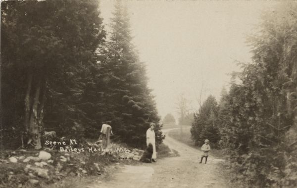 Photographic postcard view down a pine tree-lined road. On the road is a woman, a dog and a child posing together. Caption reads: "Scene at Baileys Harbor, Wis."